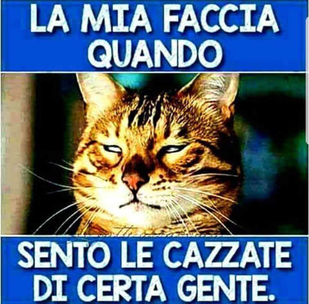 La mia faccia quando sento le cavolate di certa gente.