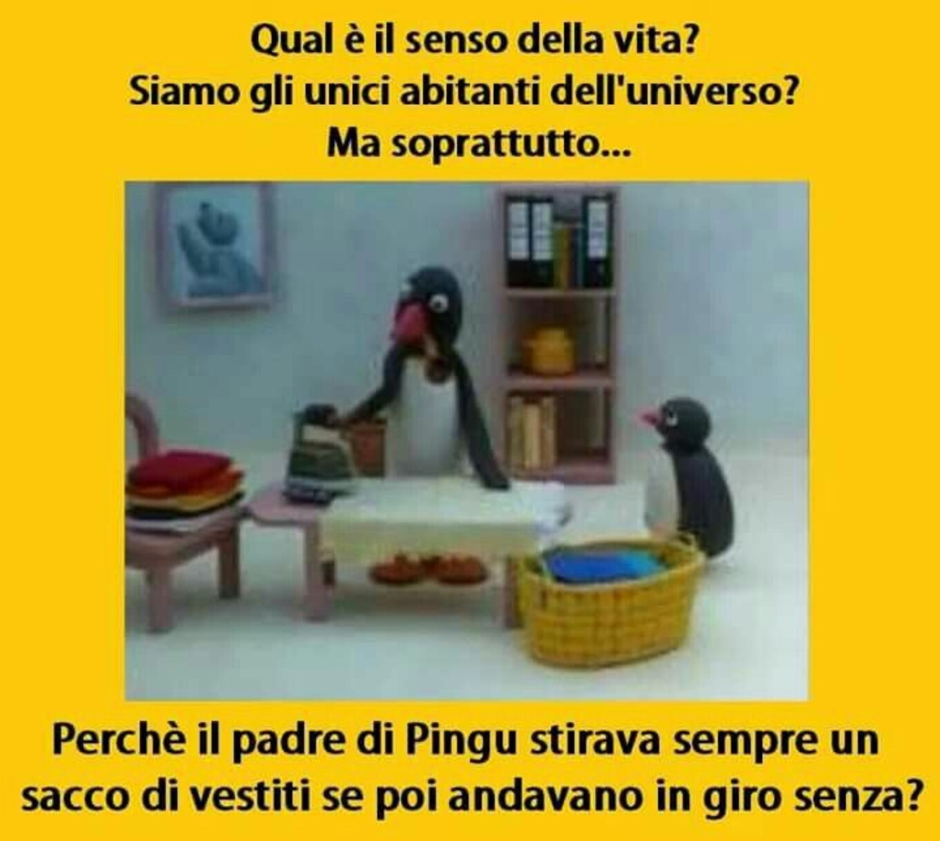 Qualìè il vero senso della vita? Siamo gli unici abitanti dell'universo ? Ma soprattutto... Perchè il padre di Pingu stirava sempre un sacco di vestiti se poi andavano in giro senza?