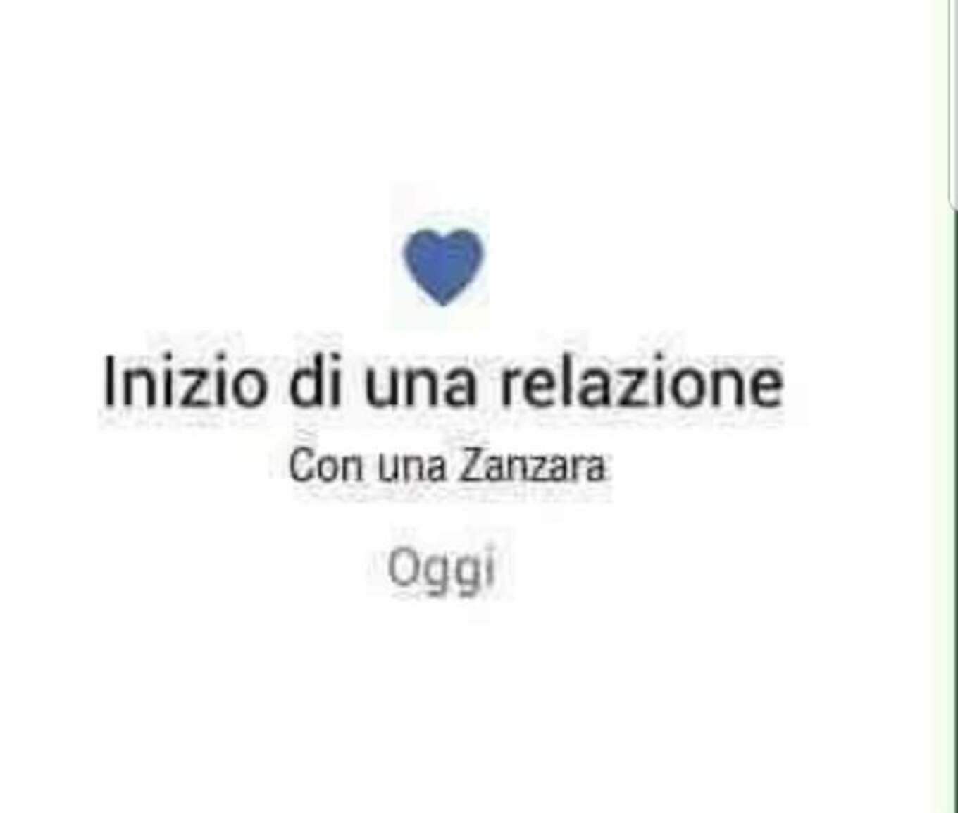 Inizio di una relazione con una zanzara, oggi