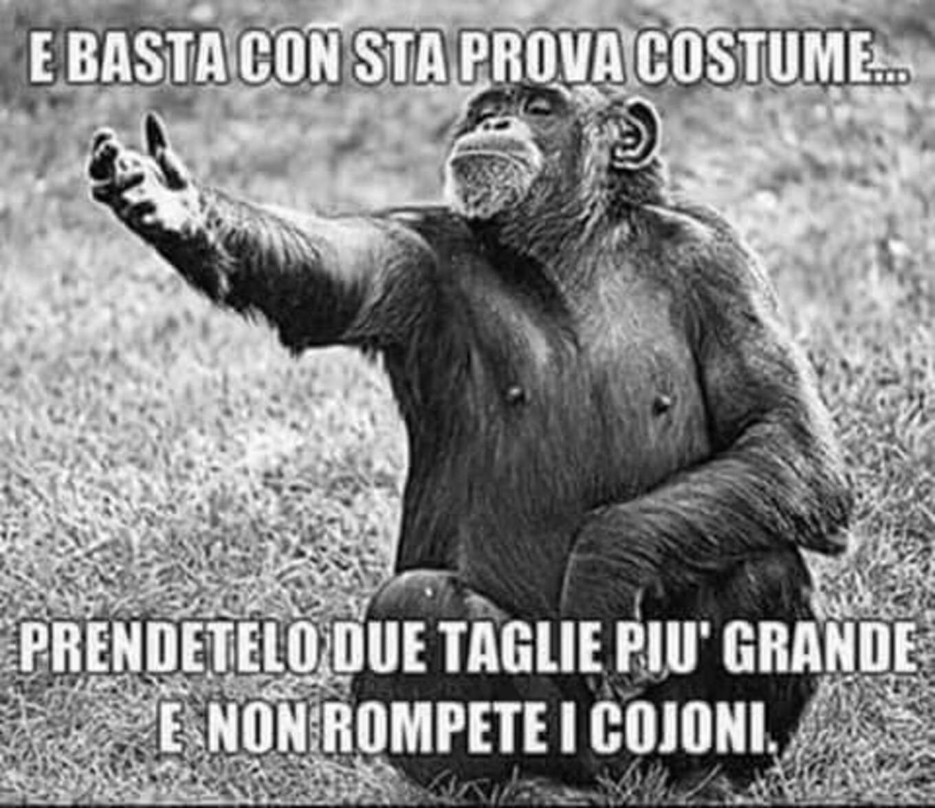 E basta con sta prova costume... prendetelo due taglie più grandi e non rompete le scatole!