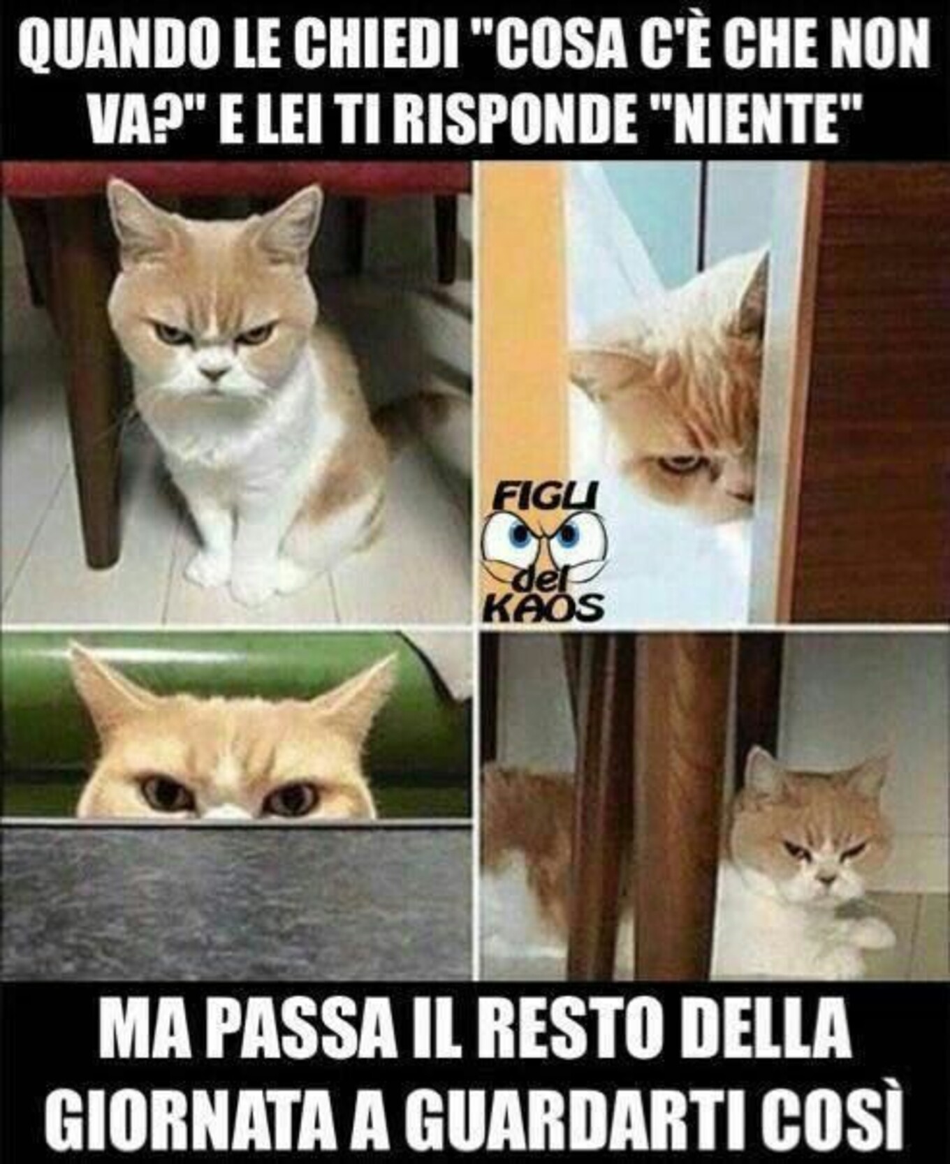 Quando le chiedi "cosa c'è che non va?" e lei ti risponde "niente" ma passa il resto della giornata a guardarti così