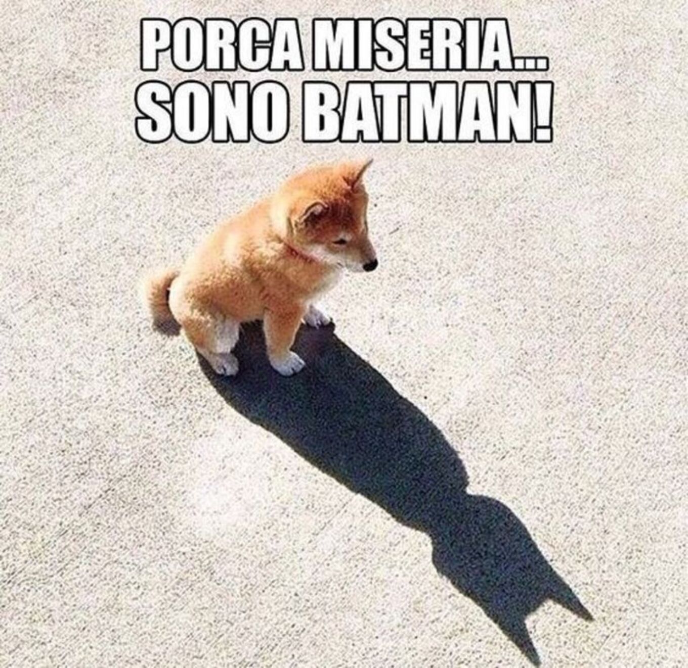 PORCA MISERIA! Sono Batman!