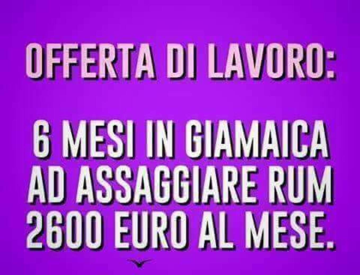 OFFERTA DI LAVORO: 6 mesi in Giamaica ad assaggiare rum 2600 euro al mese.