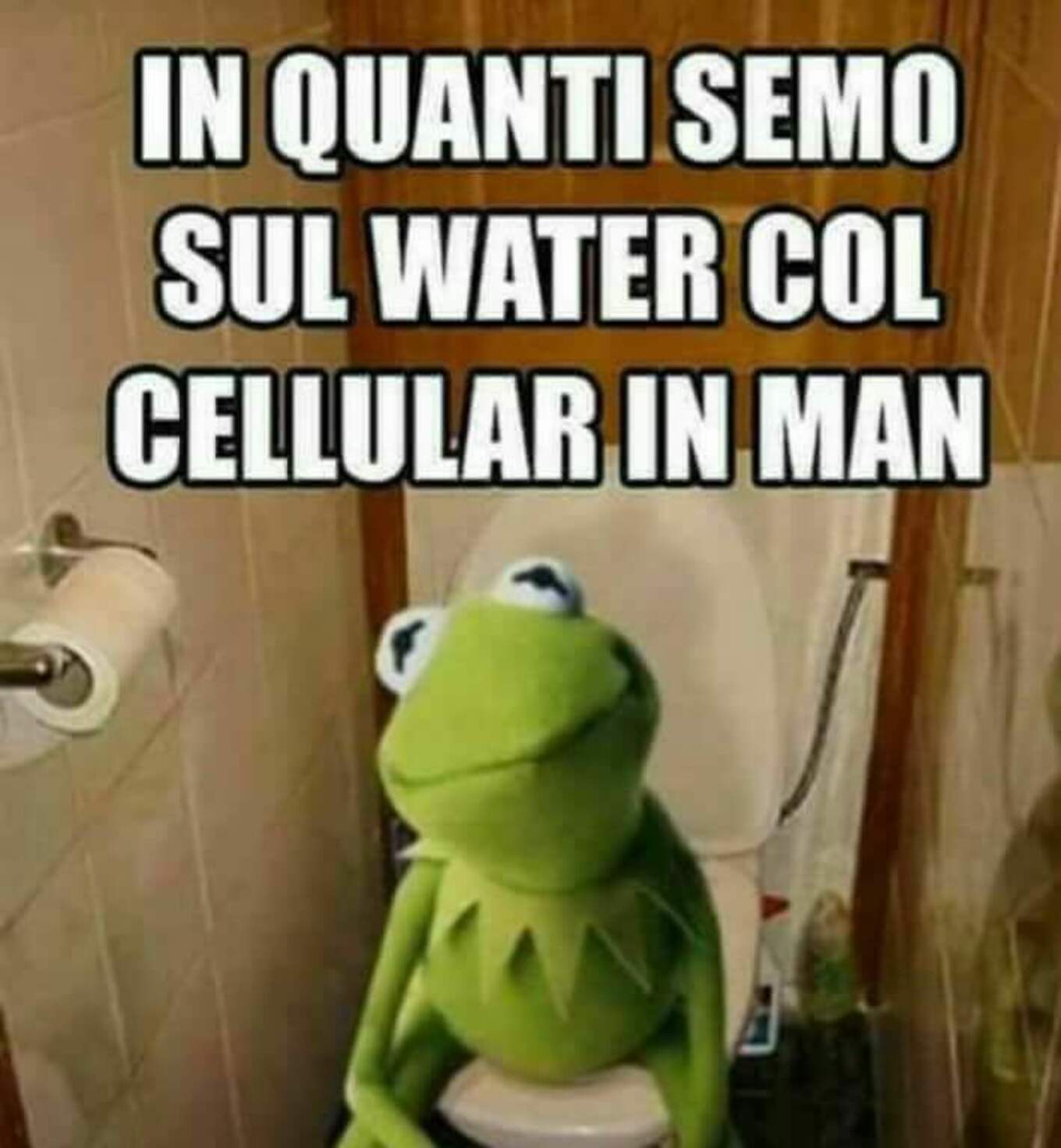 In quanti semo sul water col cellular in man