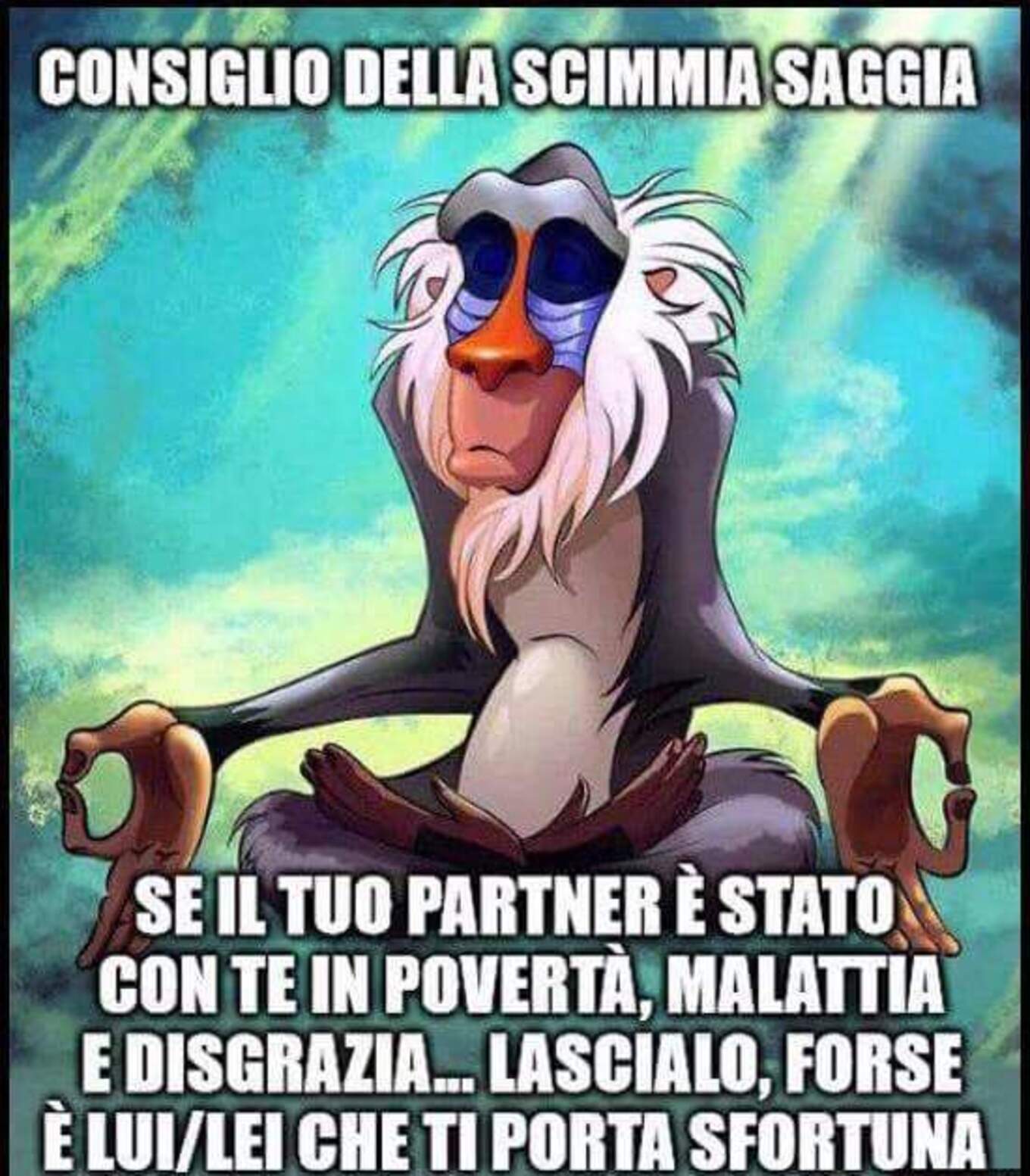 CONSIGLIO DELLA SCIMMIA SAGGIA: Se il tuo partner è stato con te in povertà, malattia e disgrazia... Lascialo! Forse è LUI/LEI che ti porta sfortuna.