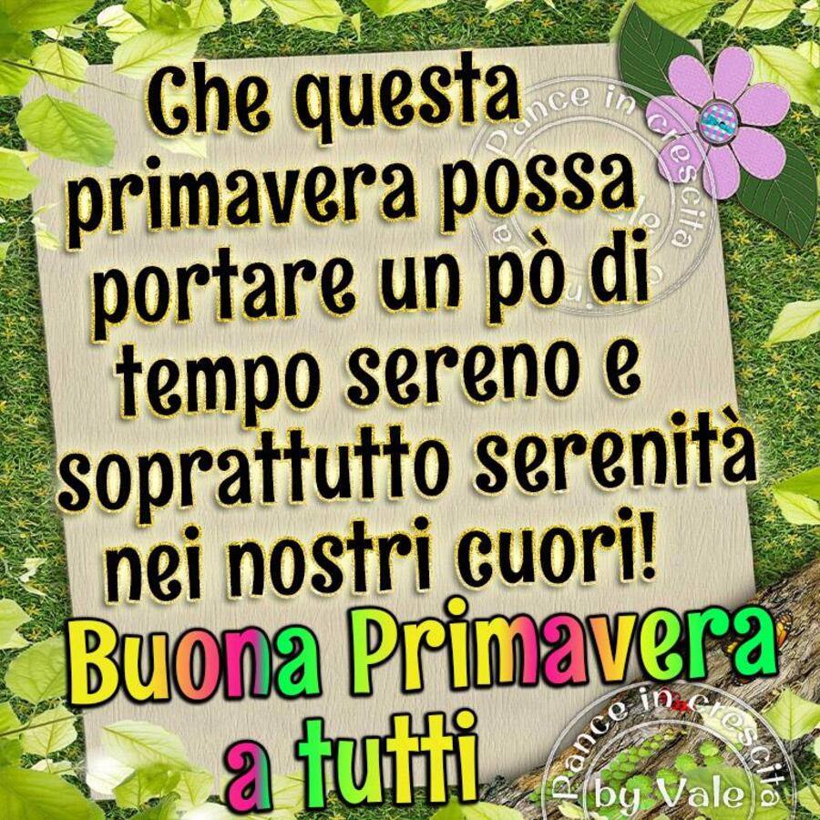 Che questa Primavera possa portare un pò di tempo sereno e soprattutto serenità nei nostri cuori! Buona Primavera a tutti