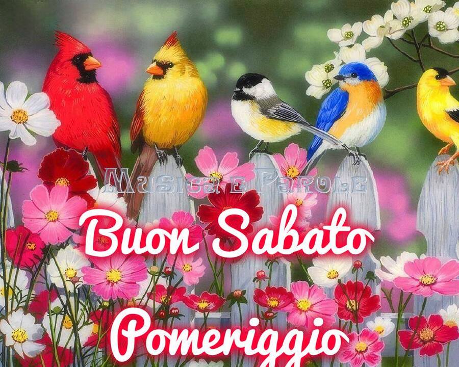 Buon Sabato Pomeriggio