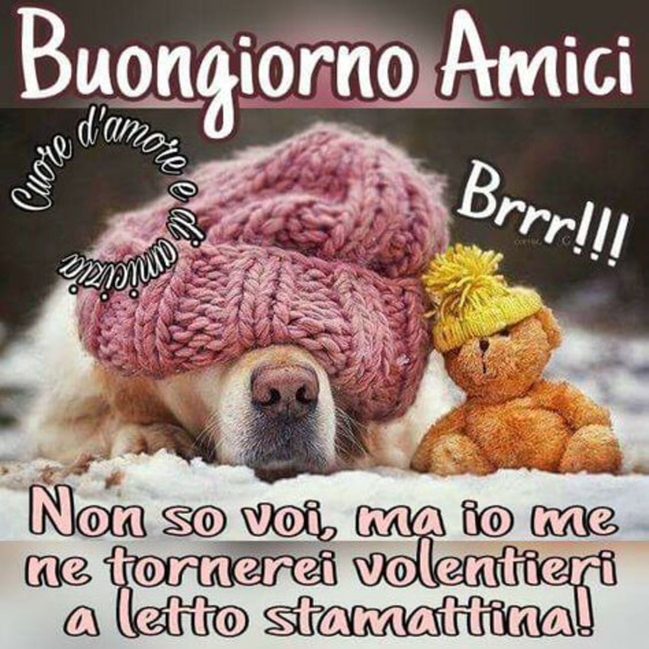 Buongiorno Amici Brrr!!! Non so voi, ma io me ne tornerei volentieri a letto stamattina!