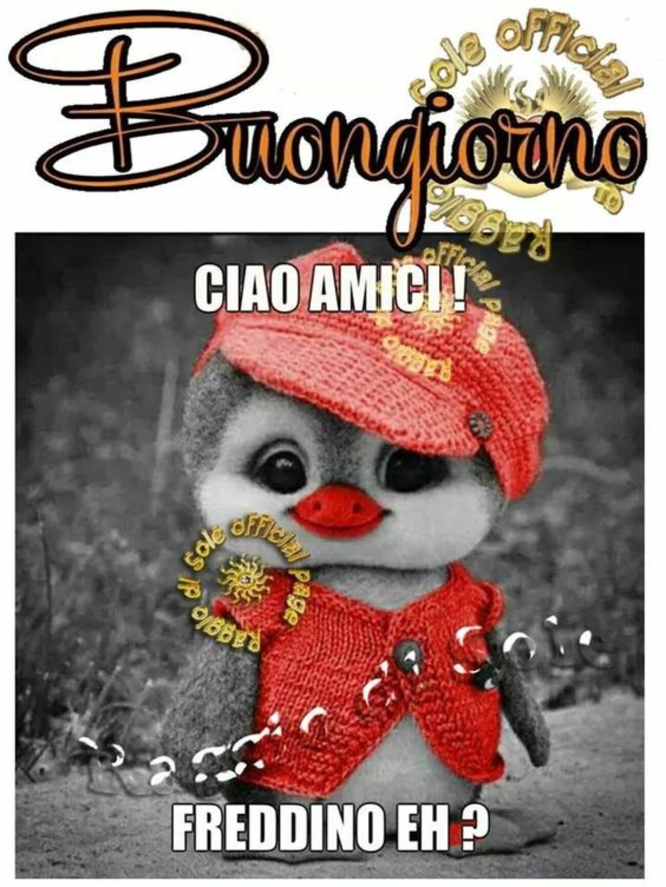 Buongiorno ciao amici! Freddino eh?