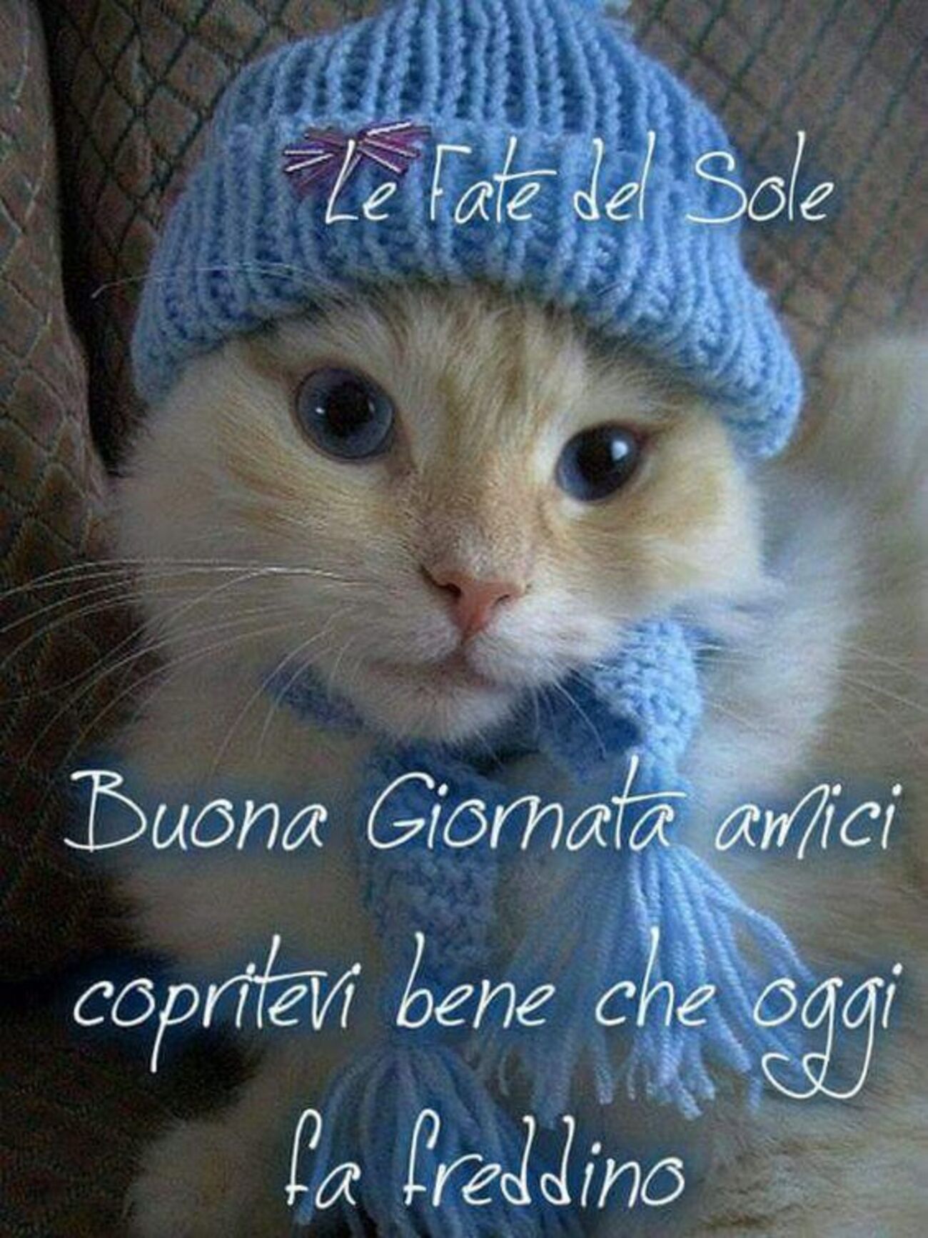 Buona Giornata amici copritevi bene che oggi fa freddino