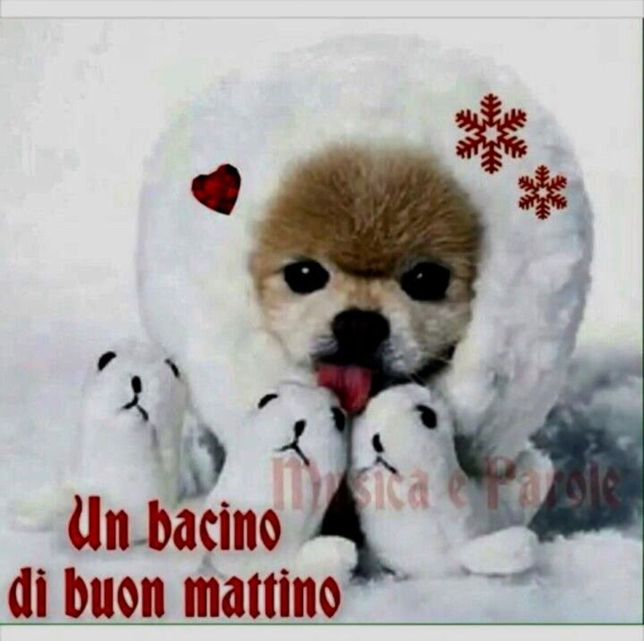 Un bacino di Buon Mattino