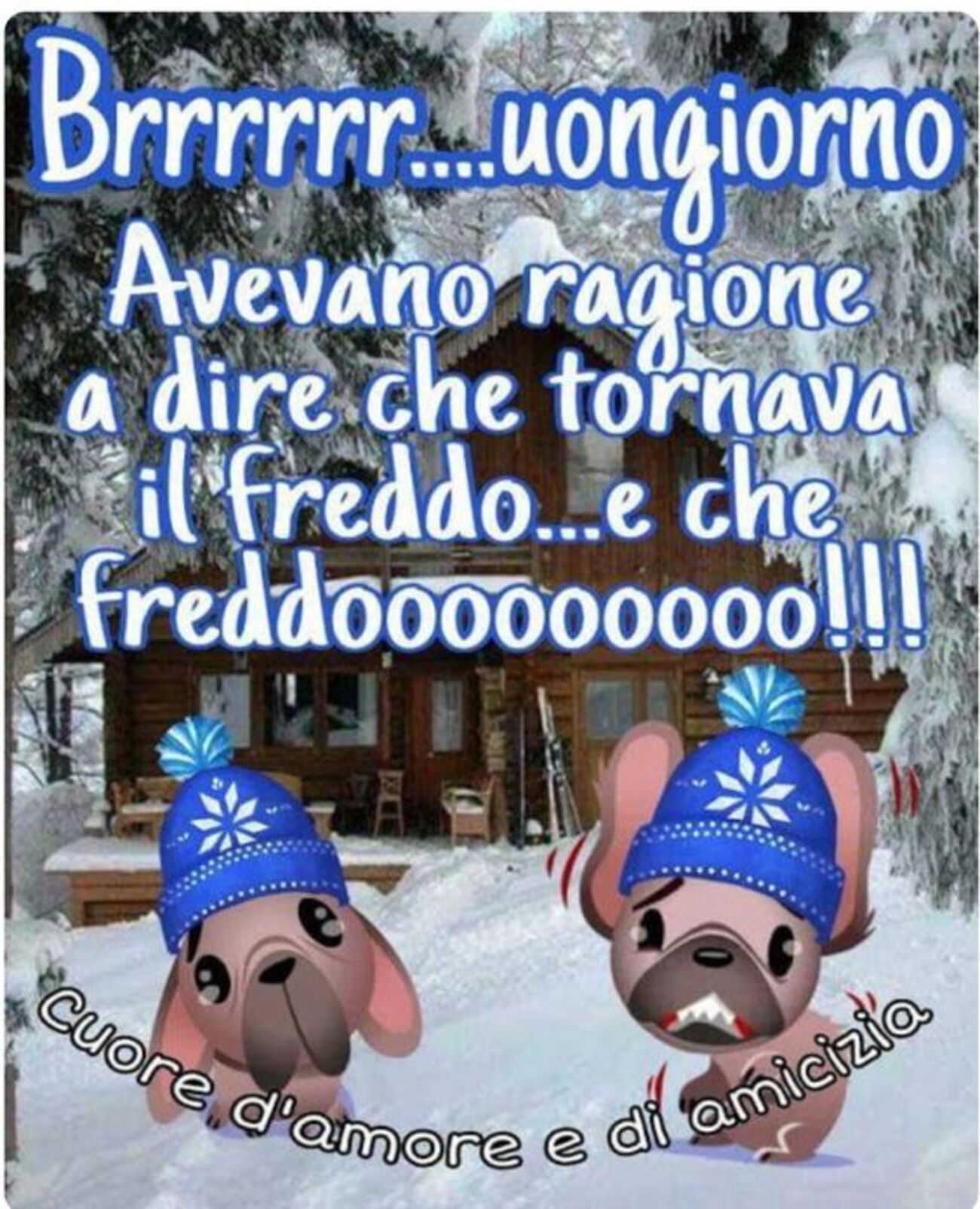 Brrr...uongiorno Avevano ragione a dire che tornava il freddo... e che freddooooo !!!