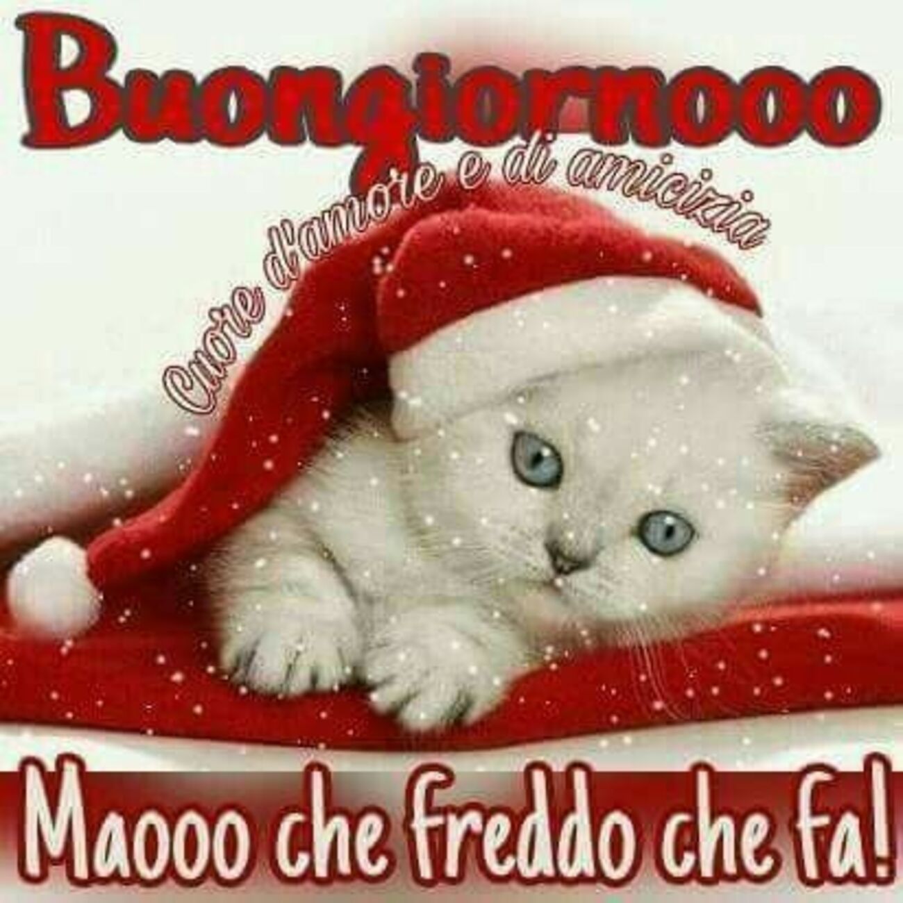 Buongiornooo Maooo che freddo che fa!