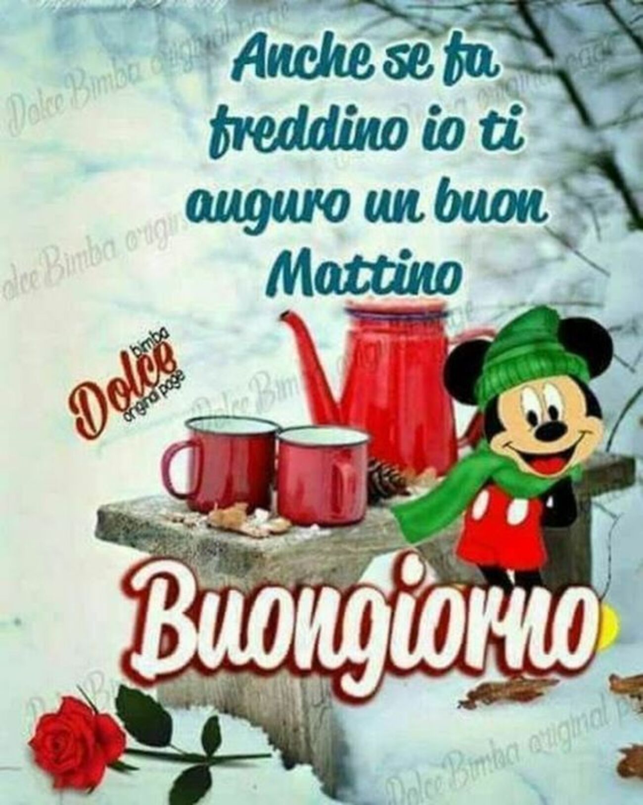 Anche se fa freddino io ti auguro un Buon Mattino Buongiorno