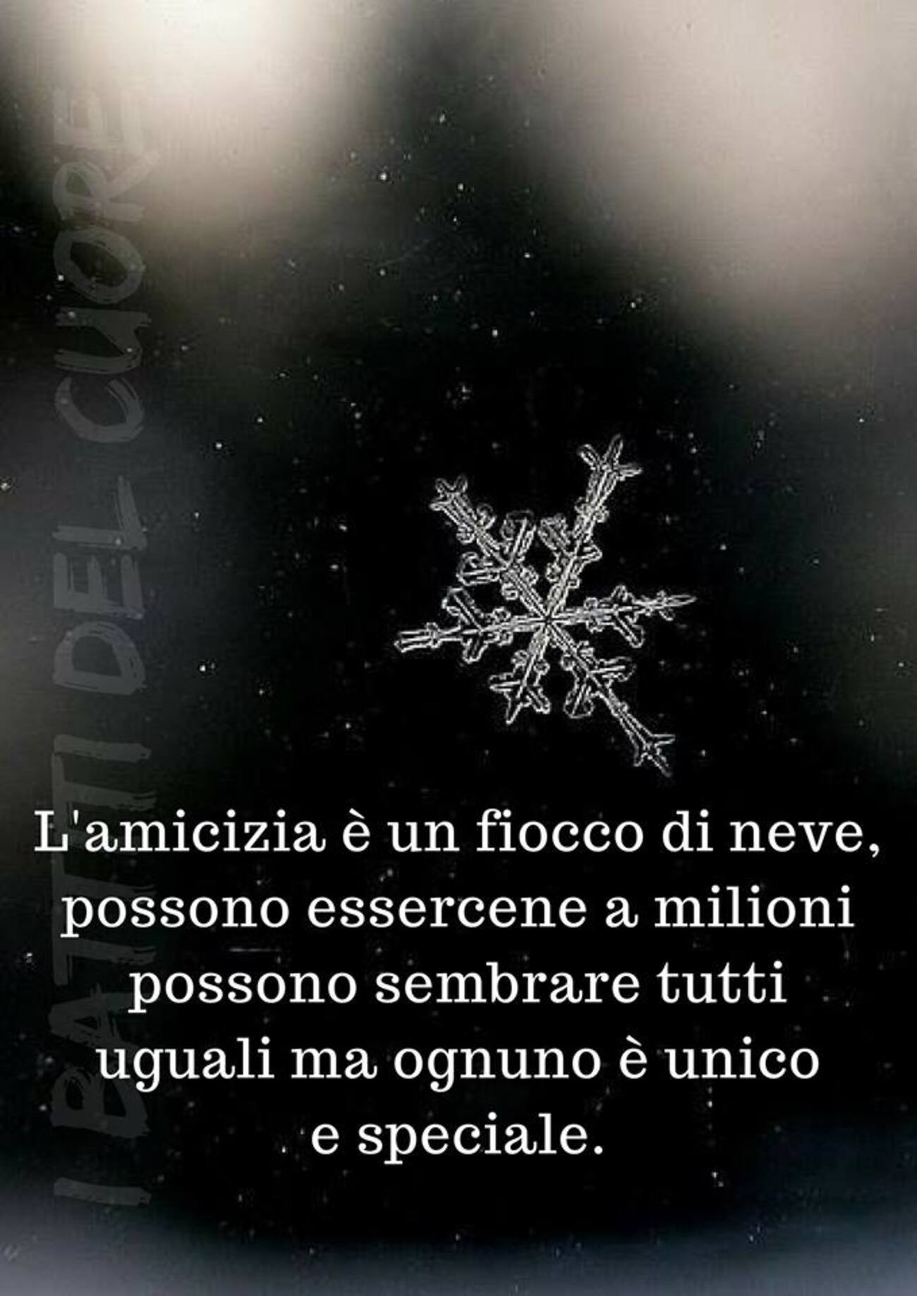 L'Amicizia è un fiocco di neve, possono essercene a milioni, possono sembrare tutti uguali, ma ognuno è unico e speciale.