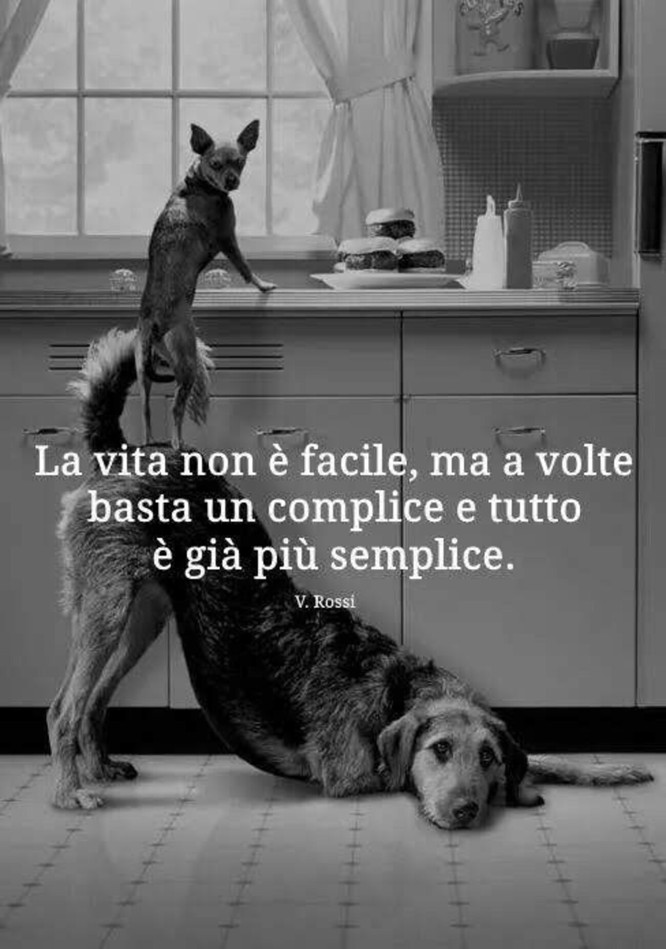 La vita non è facile, ma a volte basta un complice, e tutto è già più semplice. V. Rossi