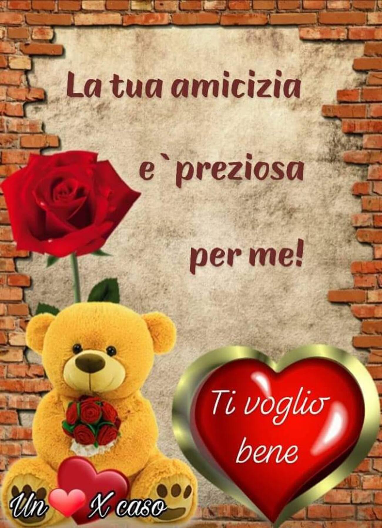 La tua amicizia è preziosa per me! Ti voglio bene