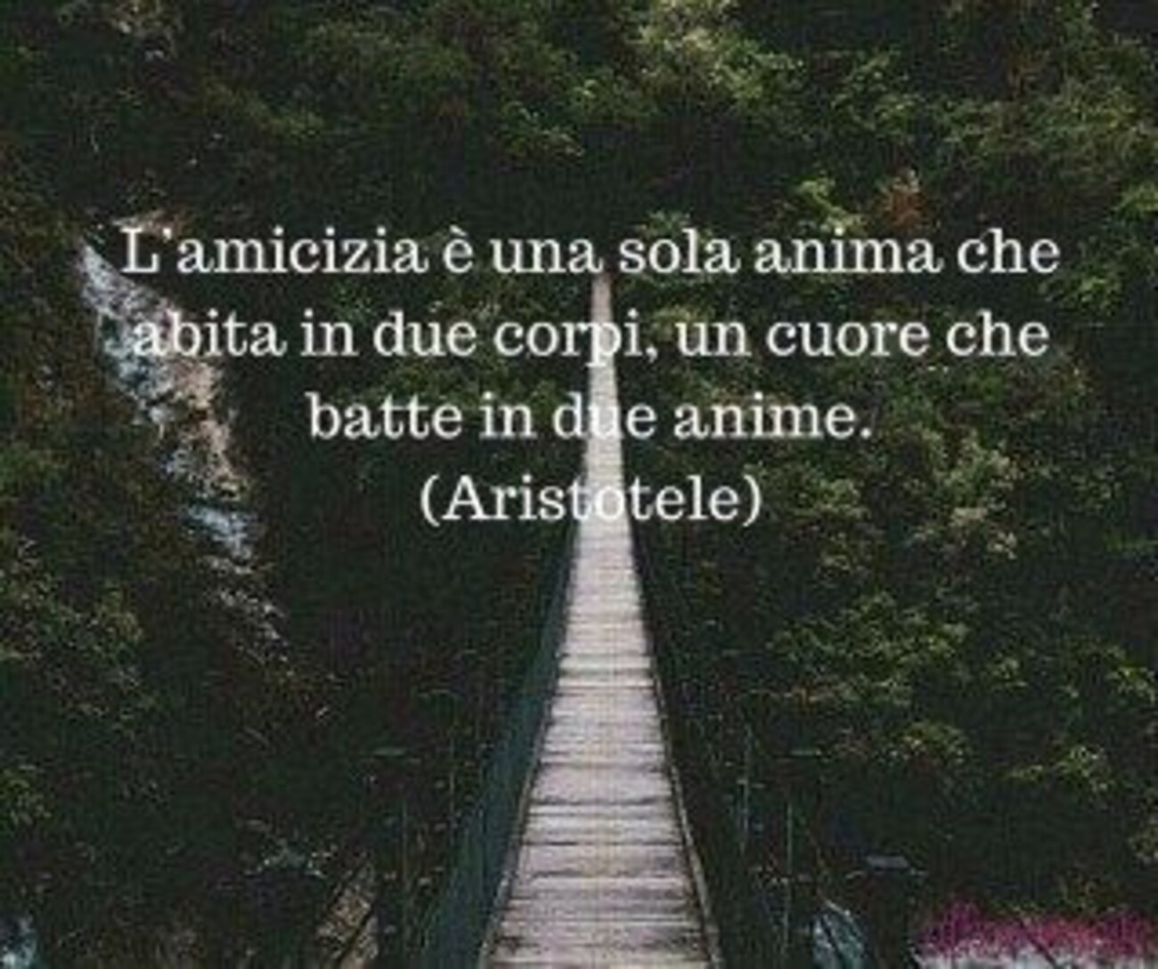 L'amicizia è una sola anima che abita in due corpi, un cuore che batte in due anime. Aristotele