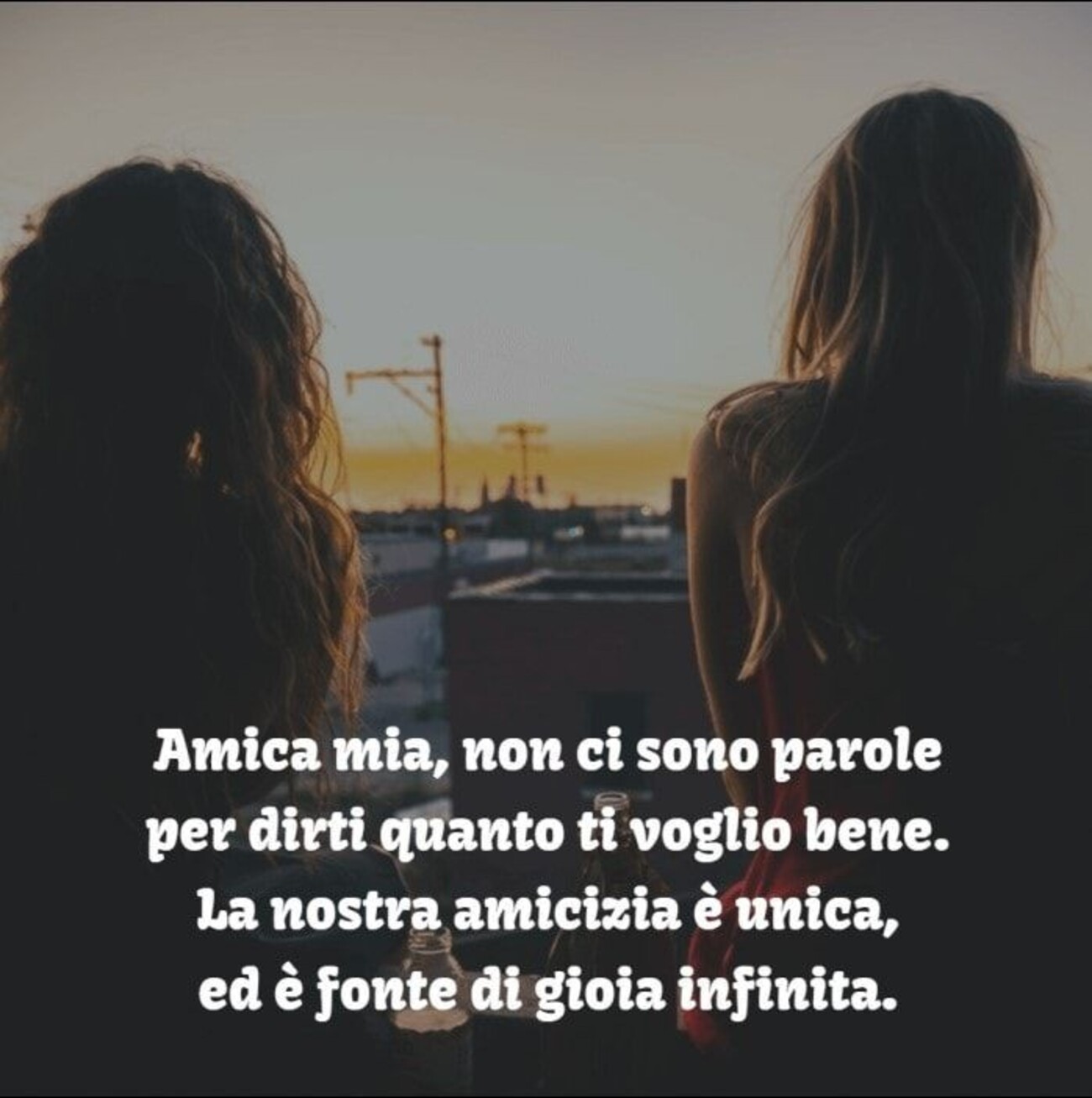 Amica mia, non ci sono parole per dirti quanto ti voglio bene. La nostra amicizia è unica, ed è fonte di gioia infinita.