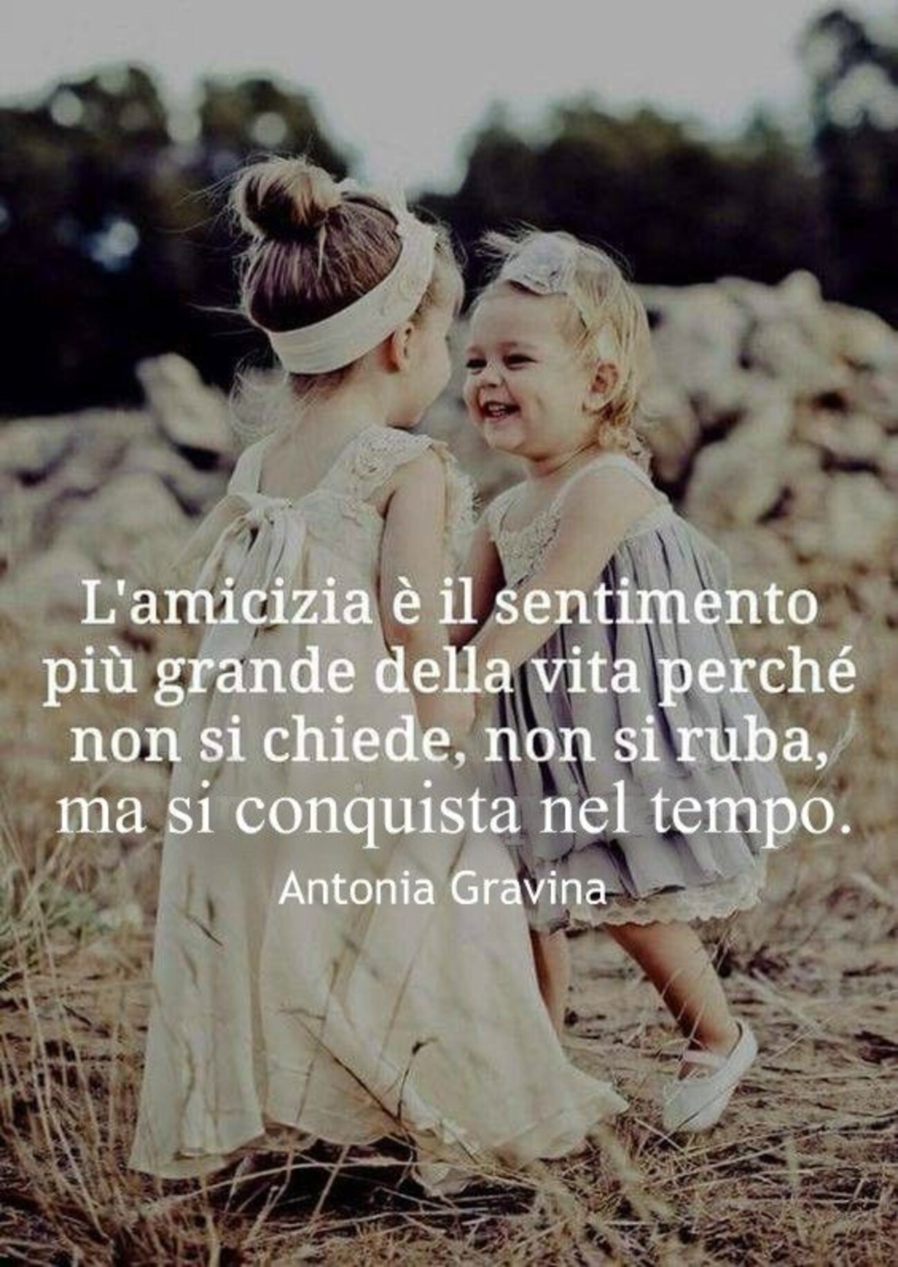 L'Amicizia è il sentimento più grande della vita perchè non si chiede, non si ruba, ma si conquista nel tempo.