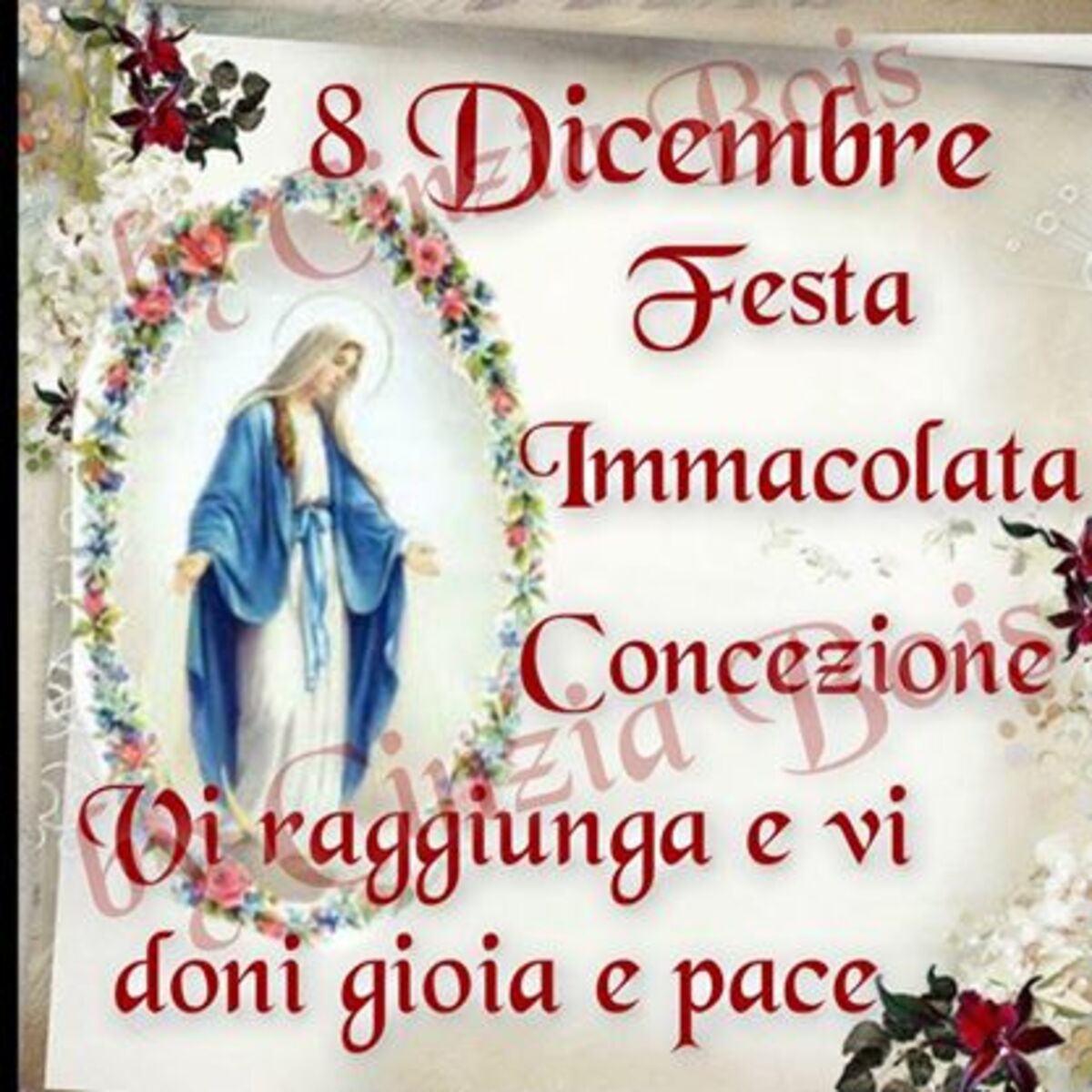 8 Dicembre Festa Immacolata Concezione Vi raggiunga e vi doni la pace