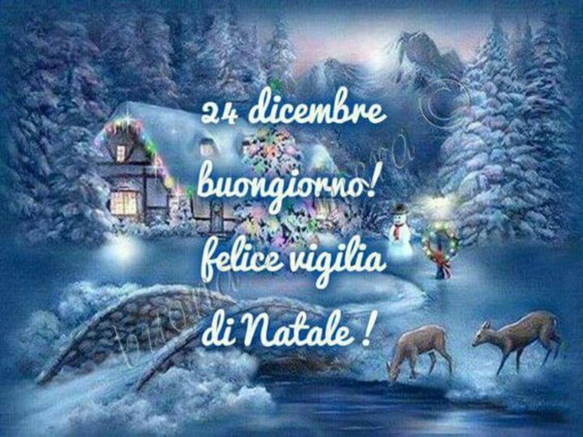 24 Dicembre Buongiorno Felice Vigilia di Natale!