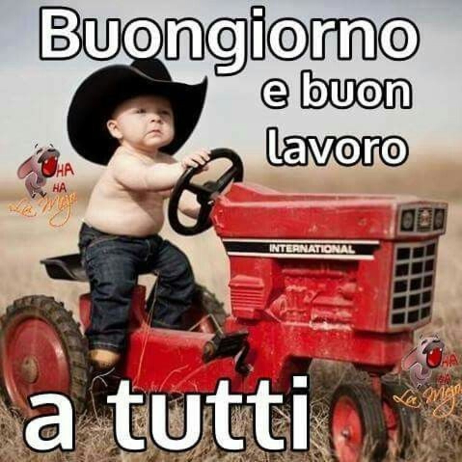 Buongiorno e buon lavoro a tutti