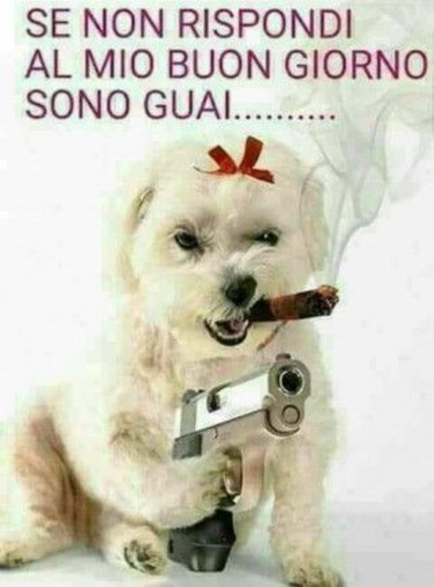 SE NON RISPONDI AL MIO BUONGIORNO SONO GUAI.....