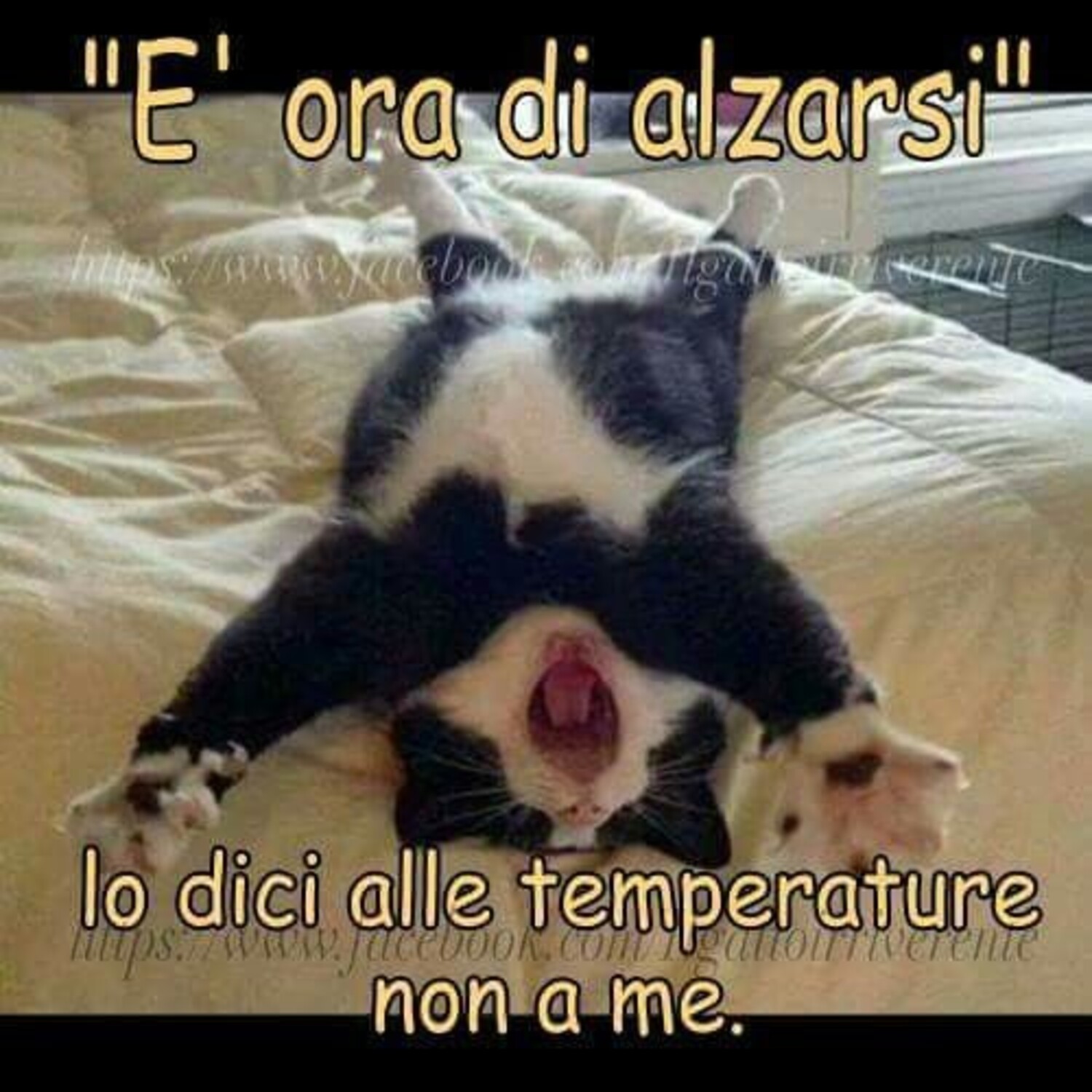 "E' ora di alzarsi" lo dici alle temperature, non a me.