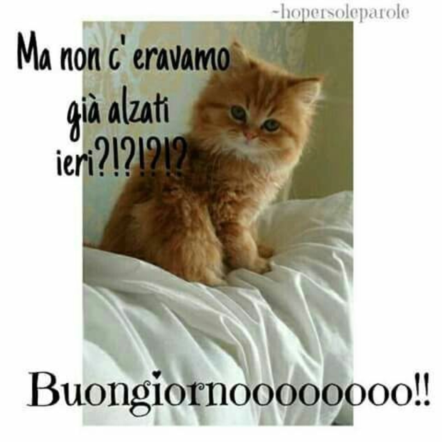 Ma non ci eravamo alzati già ieri ?!?!! Buongiornooooo!!