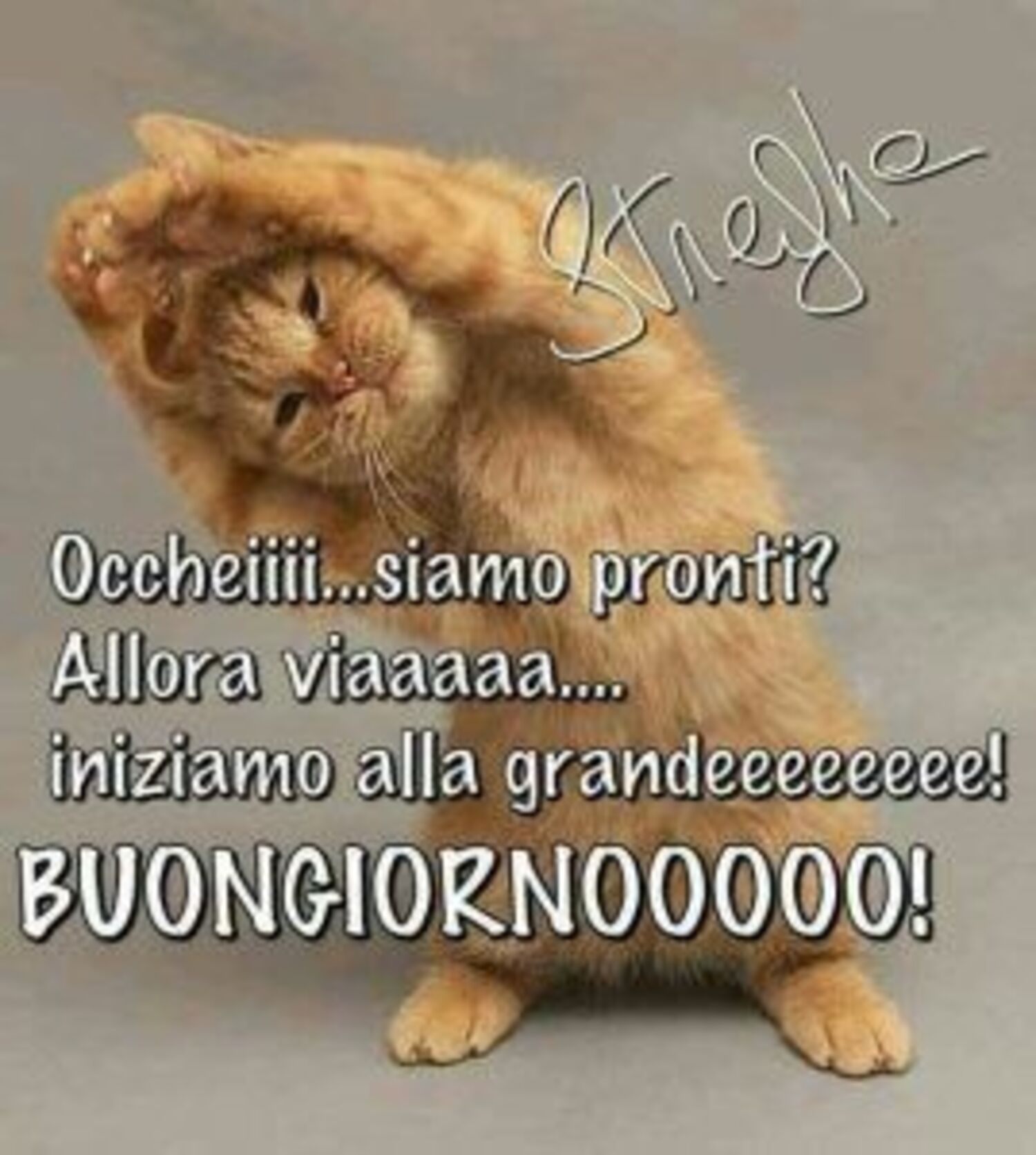 Occheiiiiiii... Siamo pronti? Allora viaaaa... Iniziamo alla grandeeeeeeeee! BUONGIORNOOOO!