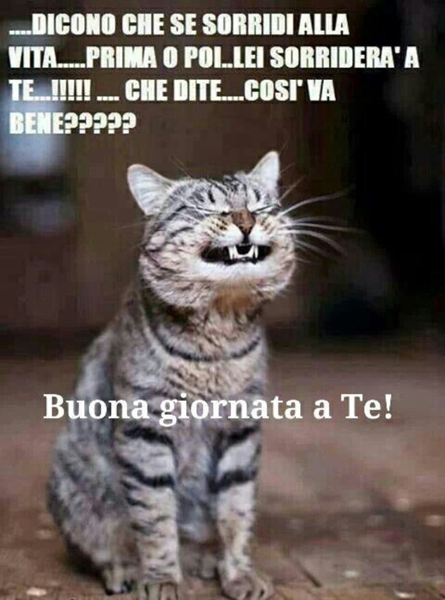 Dicono che se sorridi alla vita... prima o poi lei sorriderà a te... che dite... così va bene ????? Buona Giornata a te!