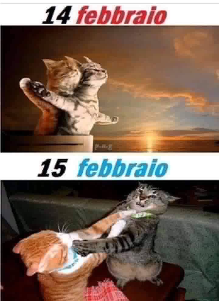 Immagini divertenti per San Valentino