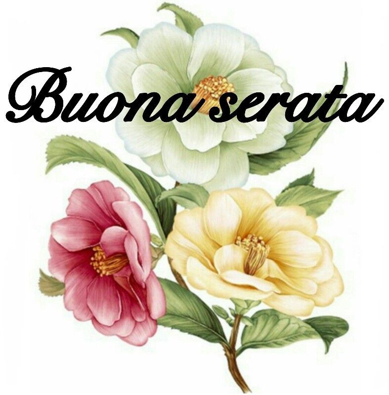 Buona Serata coi fiori