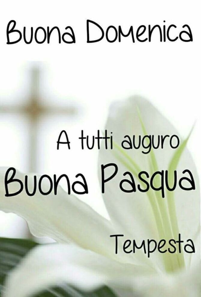 Buona Domenica. A tutti auguro Buona Pasqua - Tempesta