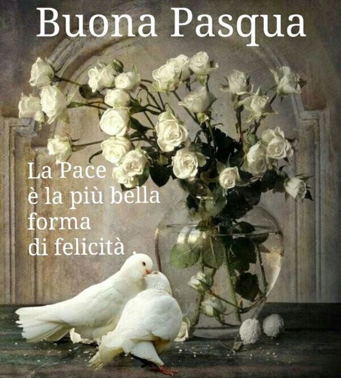 La Pace è la più bella forma di felicità. Buona Pasqua