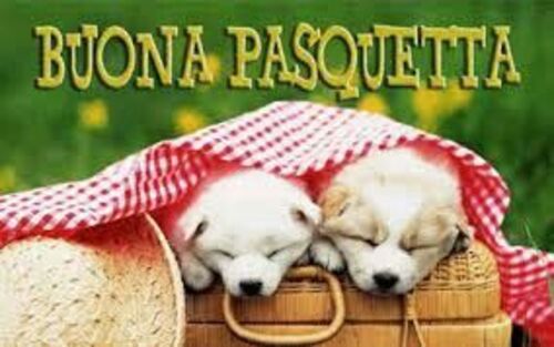 Buona Pasquetta