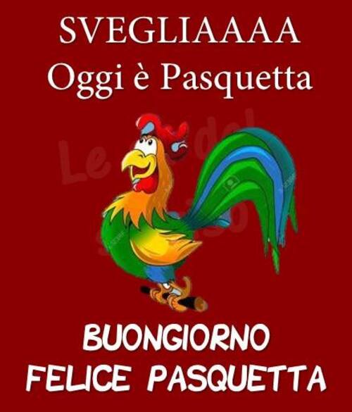 SVEGLIAAA Oggi è Pasquetta. BUONGIORNO FELICE PASQUETTA