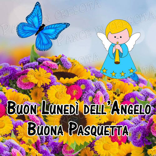 Buon Lunedì dell'Angelo Buona Pasquetta