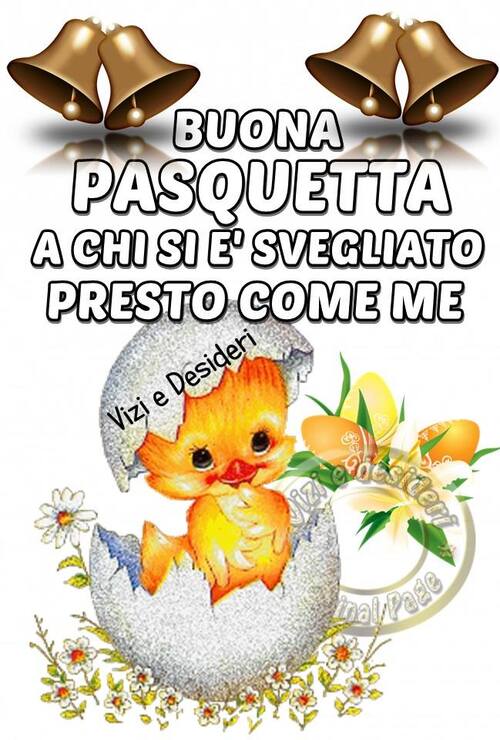 Buona Pasquetta a chi si è svegliato presto come me