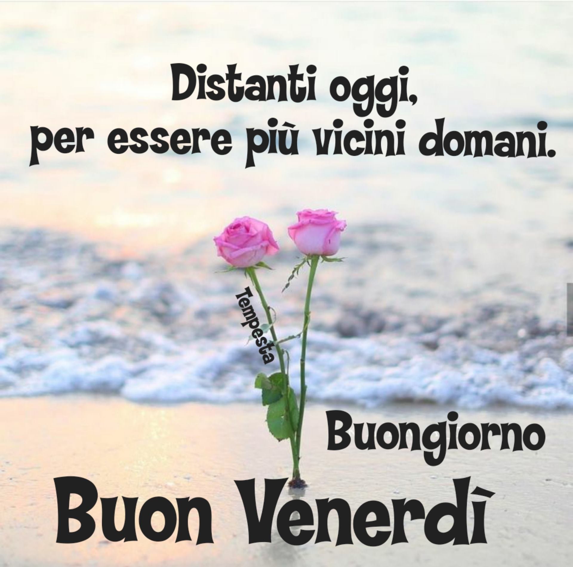 Frasi per Buon Venerdì andrà tutto bene. Distanti oggi per essere più vicini domani.