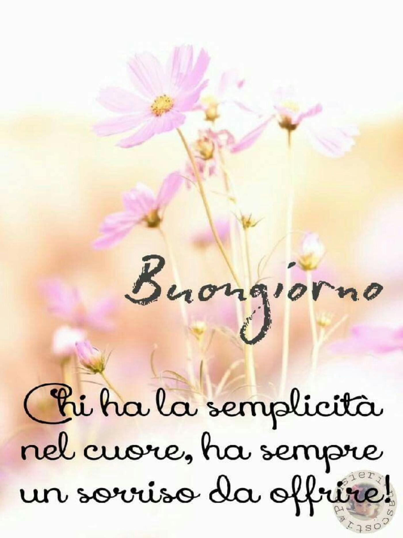 Buongiorno. Chi ha la semplicità nel Cuore, ha sempre un sorriso da offrire.