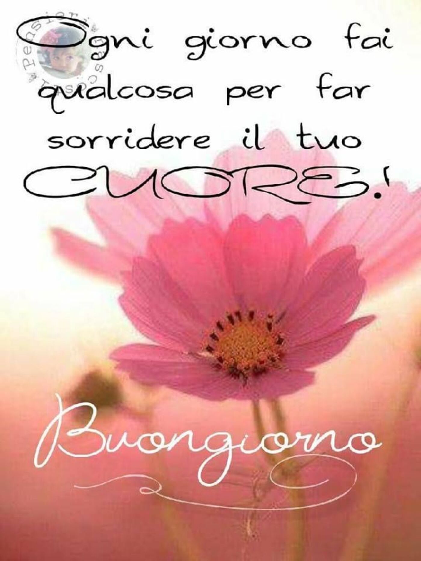 Ogni giorno fai qualcosa per far sorridere il tuo Cuore. Buona Giornata