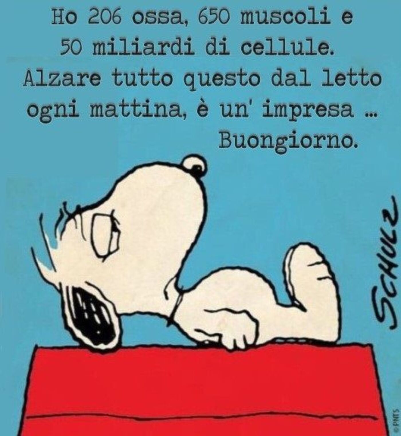 Immagini del Buongiorno divertenti con Snoopy