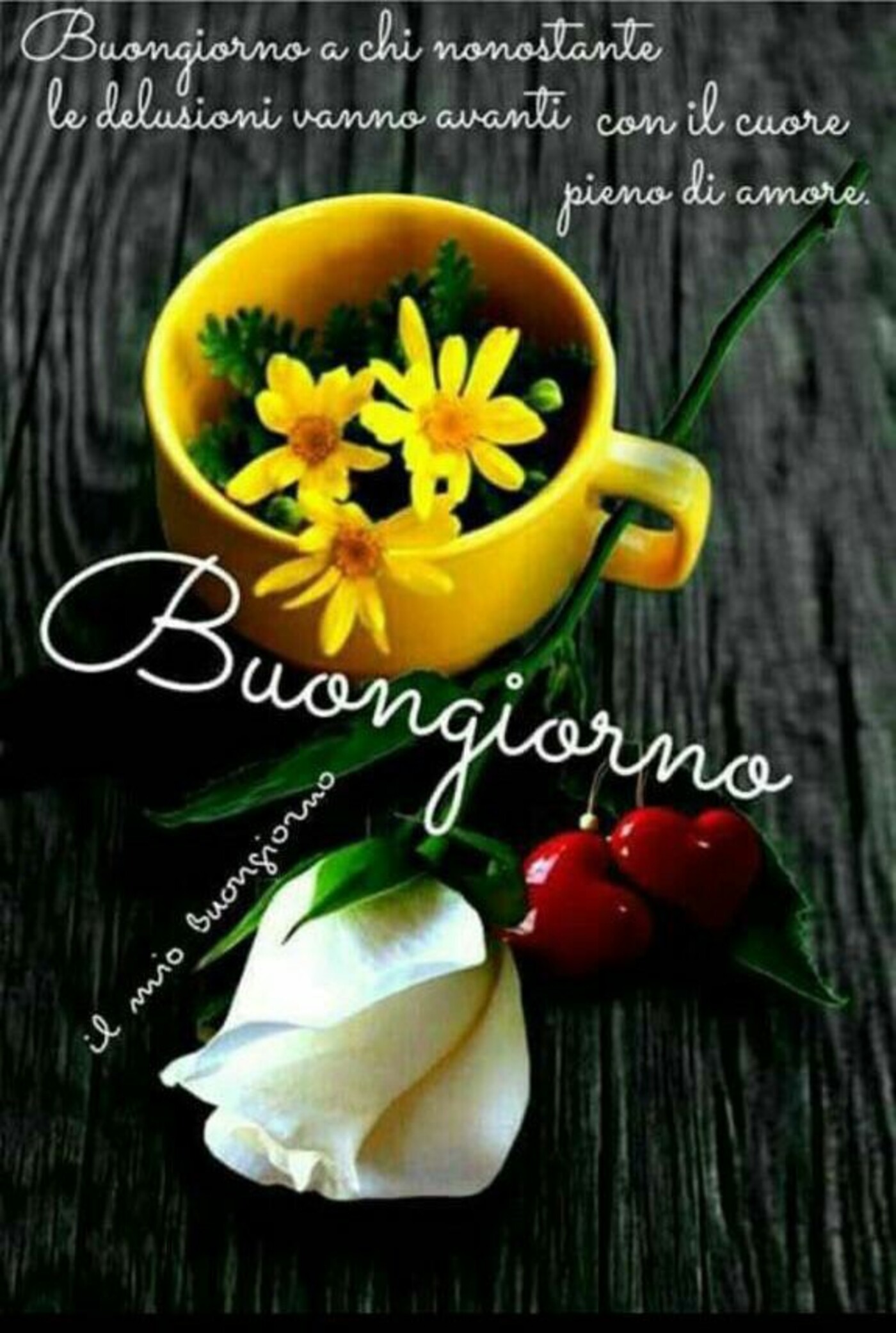 Buongiorno a chi, nonostante le delusioni, va avanti con il Cuore pieno d'amore. Buongiorno