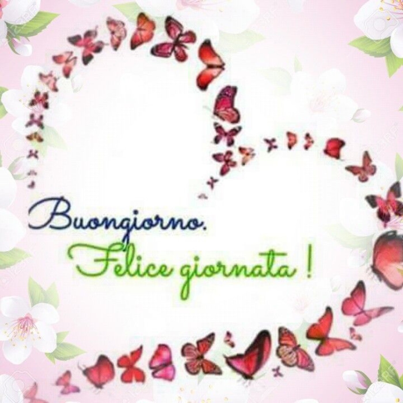 Buongiorno. Felice Giornata !