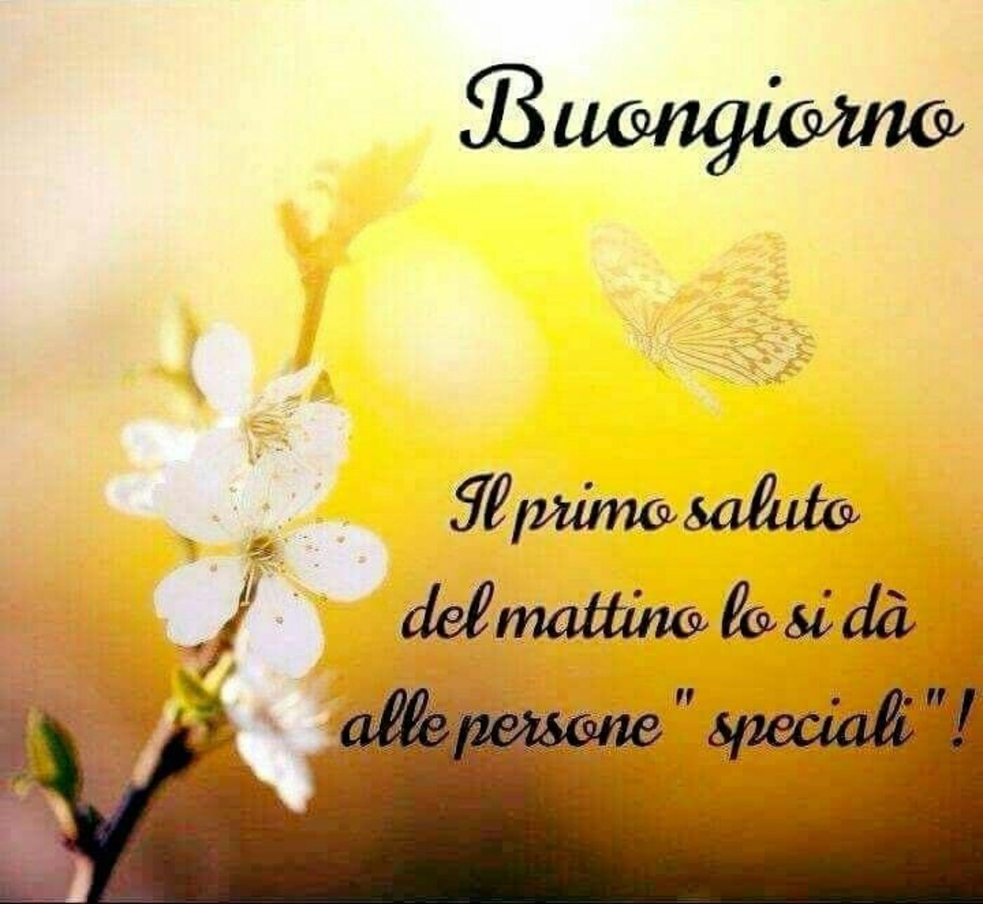 Buongiorno. Il primo saluto del mattino si dà alle Persone Speciali !