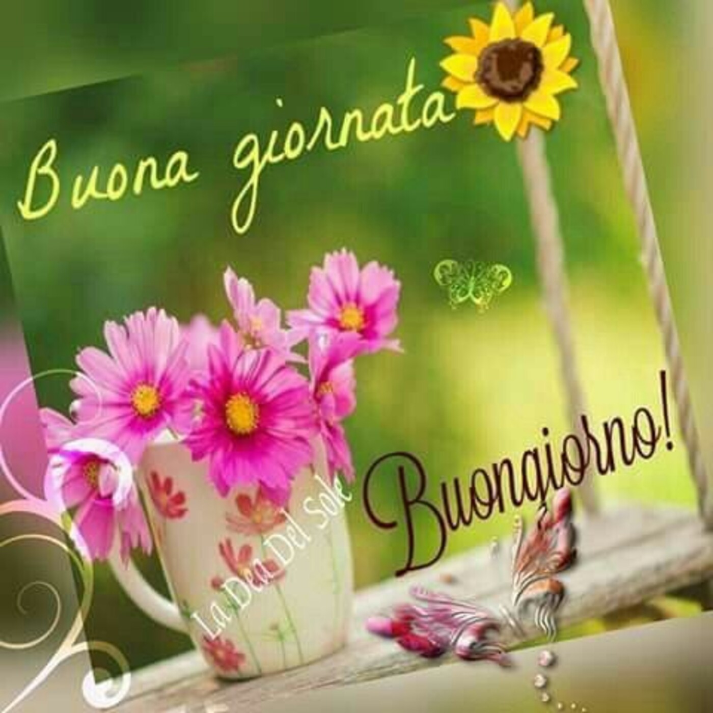 Buona Giornata. Buongiorno!