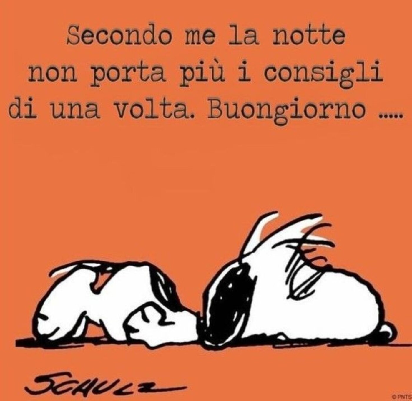 "Secondo me la notte non porta più i consigli di una volta... Buongiorno" - Snoopy