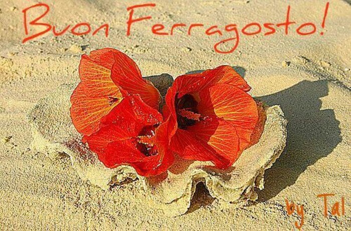 Buon Ferragosto!